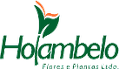 Logo Holambelo